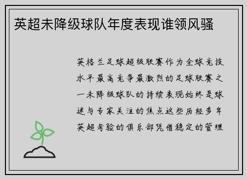英超未降级球队年度表现谁领风骚