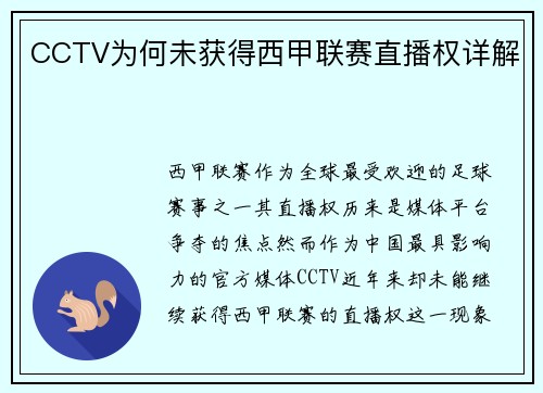 CCTV为何未获得西甲联赛直播权详解